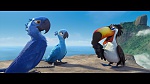 Rio picture