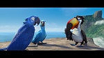 Rio picture