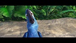 Rio picture
