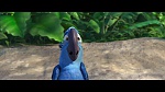 Rio picture