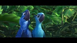 Rio picture