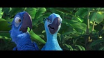 Image Rio
