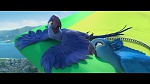 Rio picture