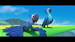 Rio picture