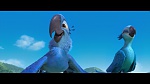 Rio picture