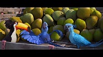Image Rio