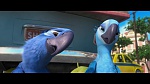 Rio picture