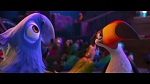 Rio picture