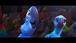 Rio picture