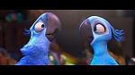 Image Rio