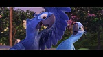 Image Rio