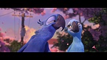 Rio picture