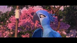 Image Rio