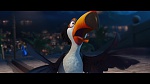 Rio picture