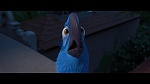 Image Rio