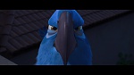 Rio picture