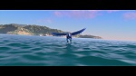 Rio picture
