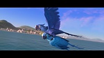 Rio picture