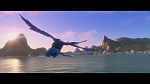 Rio picture