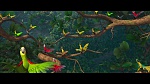 Rio picture