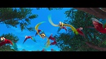 Rio picture