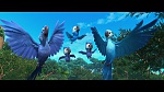 Rio picture