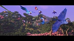 Rio picture