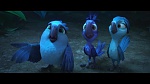 Rio 2 picture
