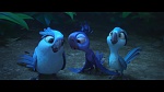 Rio 2 picture