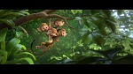 Rio 2 picture