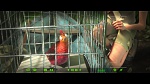 Image Rio 2