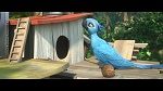 Image Rio 2