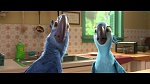 Image Rio 2