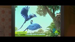 Image Rio 2