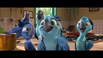 Rio 2 picture