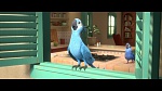 Rio 2 picture