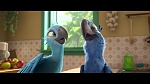 Image Rio 2