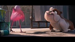 Image Rio 2