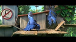 Image Rio 2