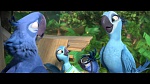 Image Rio 2