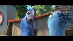 Rio 2 picture