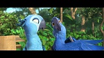 Image Rio 2