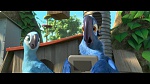 Image Rio 2