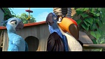 Rio 2 picture