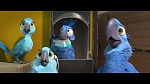 Image Rio 2