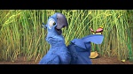 Image Rio 2