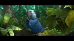 Image Rio 2