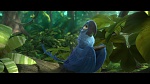 Image Rio 2