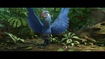 Image Rio 2