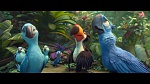 Image Rio 2